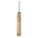 Icon DXM 808 TTNOW Cricket Bat GM